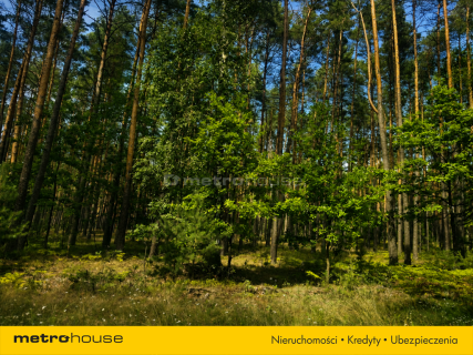 Działka 1104 m w otulinie lasów, z WZ