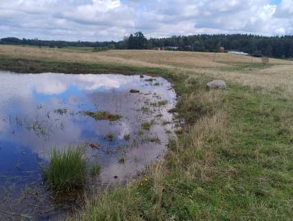 Mazury Puszcza Borecka Działka Rolna 12,4469 ha