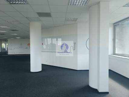 Wola lokal biurowy 521,96 m2 do wynajęcia