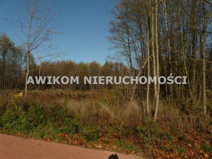 Działka budowlana na sprzedaż, 2641 m2, Budy Zaklasztorne