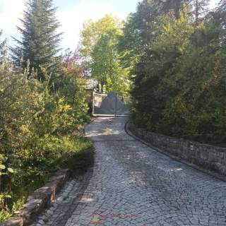 Bochnia, Dom, Rezydencja z pięknym ogrodem, działka 0,5ha