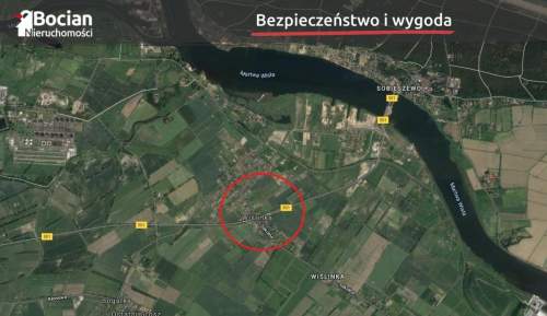 Duża, uzbrojona, płaska, słoneczna Wiślinka