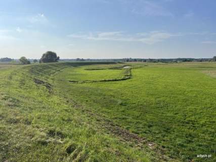 Dom na sprzedaż, 64 m2, Rytele-Olechny