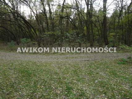 Działka rolna na sprzedaż, 162570 m2, Wycześniak