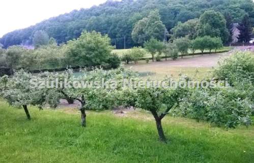 Działka budowlana na sprzedaż, 2500 m2, Byczeń