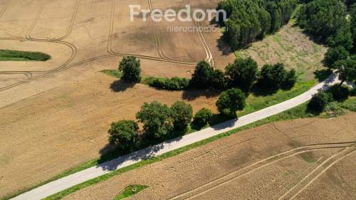 Duża działka z warunkami zabudowy przy A1 
