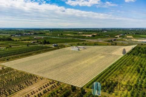 Grunt pod hale/magazyny - 5,65 ha przy S7