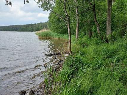 Linia brzegowa, ok.39 000PUM/PUU