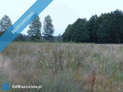 Działki rolno-budowlane k. Płocka, Lipna