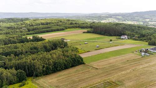 Działka leśna Łęki Dolne - gm. Pilzno 