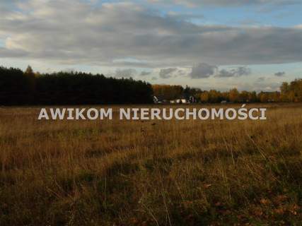 Działka budowlana na sprzedaż, 1118 m2, Puszcza Mariańska