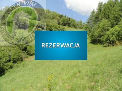 Działka rolna na sprzedaż, 2600 m2, Ochotnica Dolna