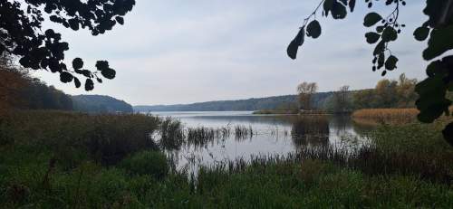 DOM WOLNOSTOJĄCY W CENTRUM LIDZBARKA OGRÓD, GARAŻ, TARAS