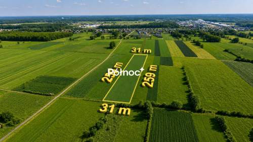 Łąka 8000m2 w Małaszewiczach Dużych