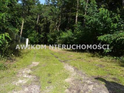 Działka budowlana na sprzedaż, 4020 m2, Olszanka