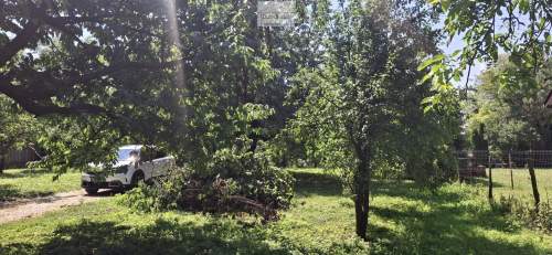 Dom z budynkami gospodarczymi i dużą działką, Żerniki Górne,...
