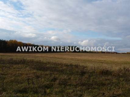 Działka rolna na sprzedaż, 162570 m2, Wycześniak