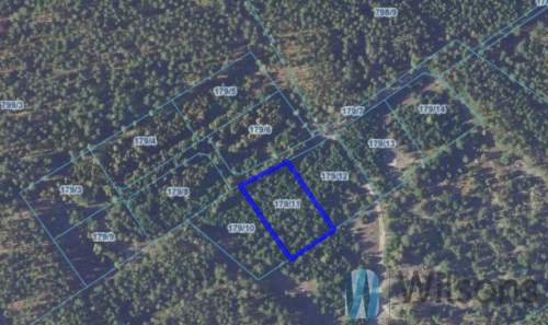 Działka rolna 3010 m2 / Opaleniec / Chorzele