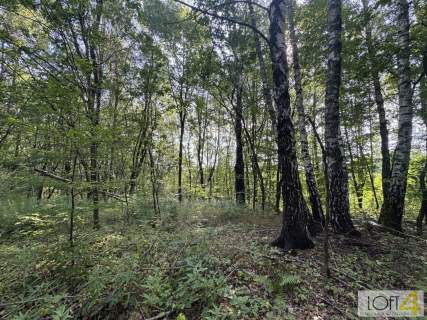Duża działka z lasem , ponad 1,80 ha