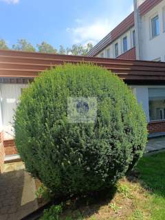 Mokotów lokal biurowy 40m2 do wynajęcia