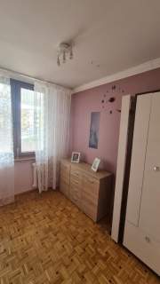 Mieszkanie do wynajęcia, 48 m2, Żyrardów