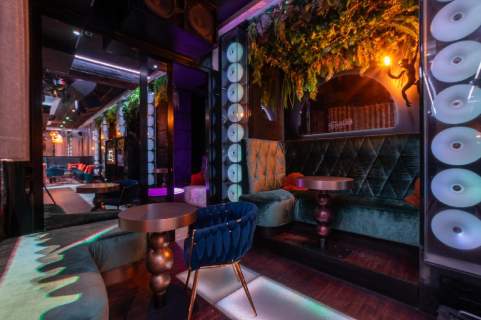 PRESTIŻOWY KLUB MUZYCZNY GOTOWY BIZNES SOPOT