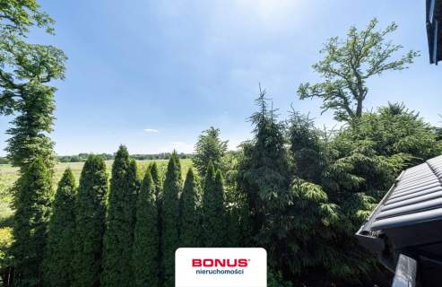 Dom wolnostojący z ogrodem 791 m Koninko