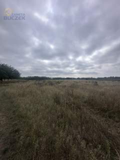 Działka rolna z budynkami - Pasikonie gm.Kampinos