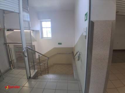 lokal 46 m2 do wynajęcia