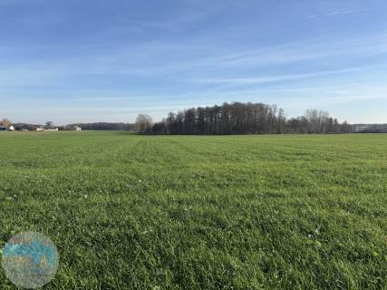 Ponad 6 ha ziemi idealne pod siedlisko, agroturystykę, st