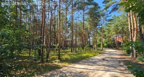 Hornówek, 1480 m2, MPZP, mieszkaniowa