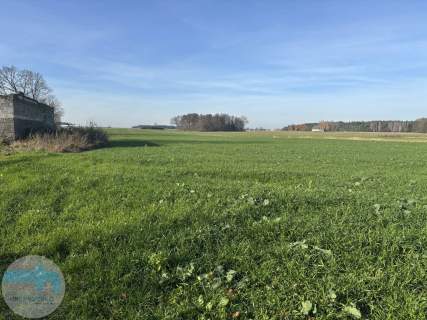 Ponad 6 ha ziemi idealne pod siedlisko, agroturystykę, st
