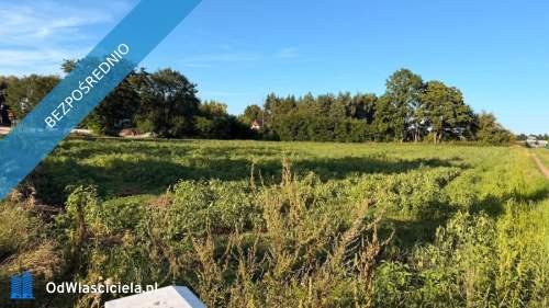 DZIAŁKA BUDOWLANA NAD JEZIOREM POWIDZKIM KOSEWO