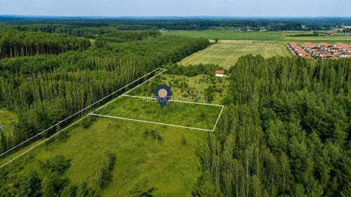 Działka budowlana w środku lasu / Założony prąd