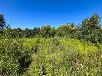 Ustawna, zielona działka budowlana-1535m2 - Janik