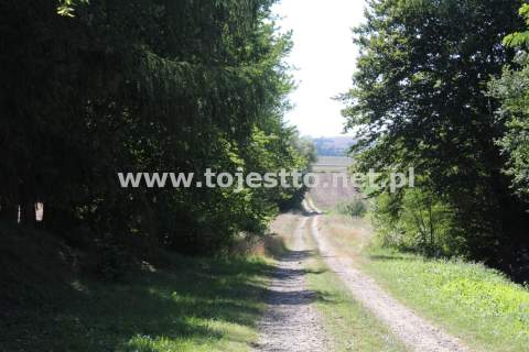 Dom na sprzedaż, 92 m2, Wysokie
