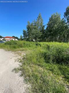 Waligóry,MPZP 2 bliźniaki po 2 lokale, 3 szeregowe
