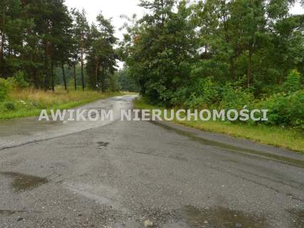 Działka budowlana na sprzedaż, 5561 m2, Skierniewice