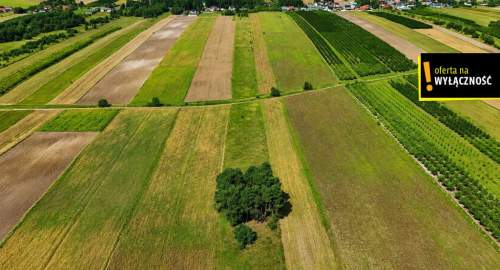 Siedlisko w Potoku 3,78 ha z domkiem wokół lasów
