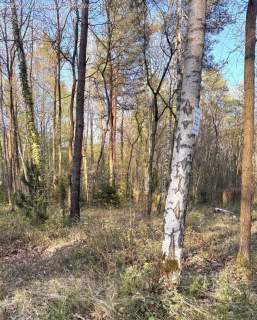 Podkowa Leśna, 2760 m2, MPZP mieszkaniowa