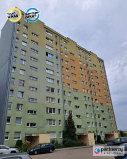 3 pokoje blisko lasu/do remontu/od zaraz