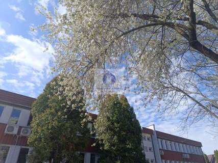 Mokotów lokal biurowy 40m2 do wynajęcia