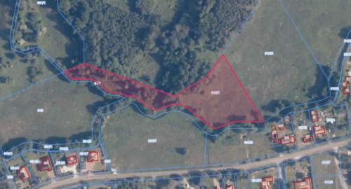 Działka rolna 9 846 m przy lesie Tanowo