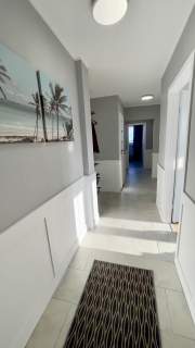3 pokoje zielona okolica balkon piwnica