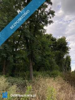 Działka budowlana 20 arów, UZBROJONA   Staw, gm. Czarnożyły blis