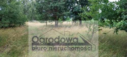 Duża działka budowlana blisko Żelechowa.