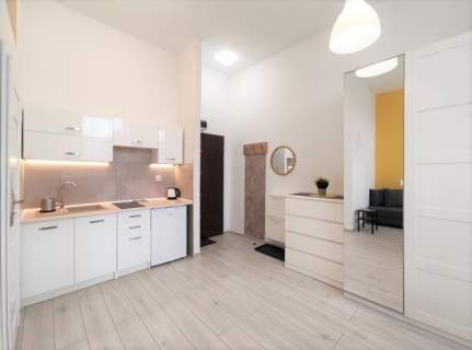 Nowoczesne studio, Więckowskiego 46, Polesie