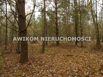 Działka budowlana na sprzedaż, 12500 m2, Antoniew