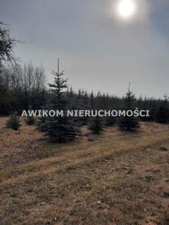 Działka inwestycyjna na sprzedaż, 43467 m2, Powązki