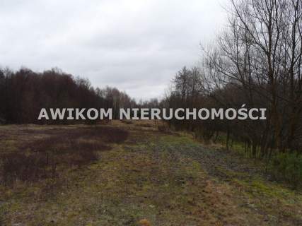 Działka rolna na sprzedaż, 15362 m2, Skierniewice